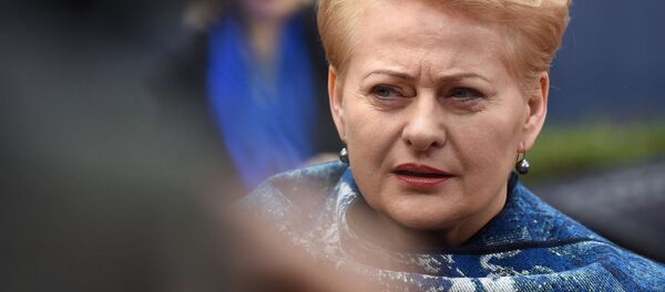 Litvanya Cumhurbaşkanı Dalia Grybauskaite Litvanya Cumhurbaşkanı Dalia Grybauskaite - Sputnik Türkiye