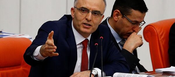 Naci Ağbal Naci Ağbal - Sputnik Türkiye