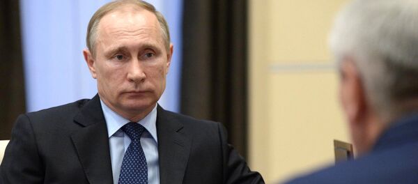 Putin, terörle mücadele bağlamında Türkiye’yle ortak çalışmaları dinledi - Sputnik Türkiye