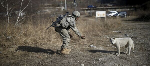 Güney Kore ve ABD'den askeri tatbikat Güney Kore ve ABD'den askeri tatbikat - Sputnik Türkiye