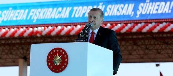 Cumhurbaşkanı Recep Tayyip Erdoğan - Sputnik Türkiye