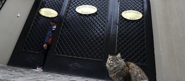 Alman Lisesi Alman Lisesi - Sputnik Türkiye