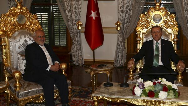 İran Dışişleri Bakanı Muhammed Cevad Zarif- Türkiye Cumhurbaşkanı Recep Tayyip Erdoğan - Sputnik Türkiye