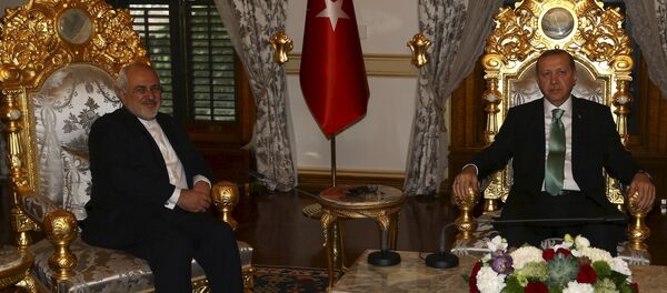 İran Dışişleri Bakanı Muhammed Cevad Zarif- Türkiye Cumhurbaşkanı Recep Tayyip Erdoğan - Sputnik Türkiye