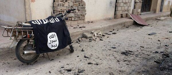 IŞİD - Palmira - Sputnik Türkiye