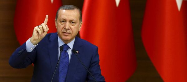Cmhurbaşkanı Recep Tayyip Erdoğan - Sputnik Türkiye