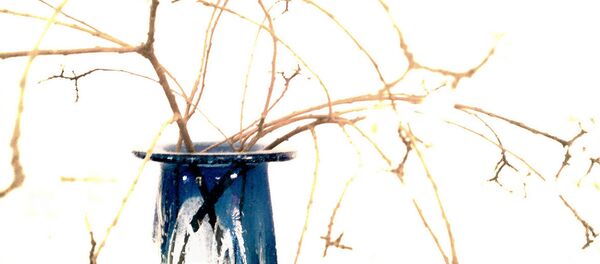 Omurilik onarımında ilk kez kök hücre kullanıldı - Sputnik Türkiye