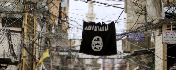 Elektrik tellerinden sarkan bir IŞİD bayrağı. - Sputnik Türkiye