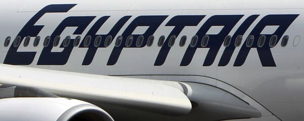 EgyptAir'a ait bir uçak - Sputnik Türkiye