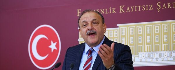 MHP Grup Başkanvekili Oktay Vural - Sputnik Türkiye