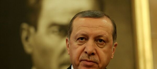 Cumhurbaşkanı Recep Tayyip Erdoğan - Sputnik Türkiye