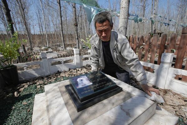 Çin'de hayvan mezarlığı - Sputnik Türkiye