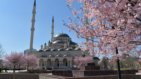 Grozni'de sakura çiçek açtı - Sputnik Türkiye