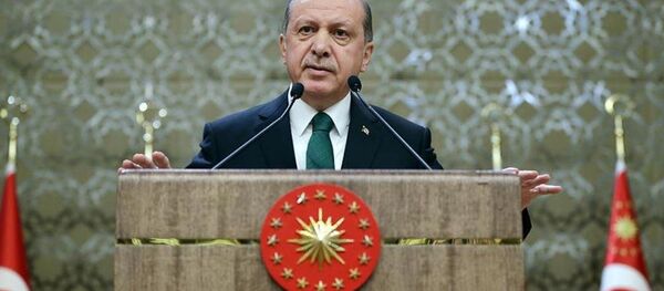 Cumhurbaşkanı Recep Tayyip Erdoğan - Sputnik Türkiye