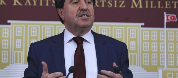 HDP Diyarbakır Milletvekili Altan Tan - Sputnik Türkiye