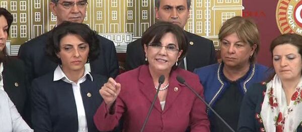 CHP Milletvekili Gaye Usluer - Sputnik Türkiye