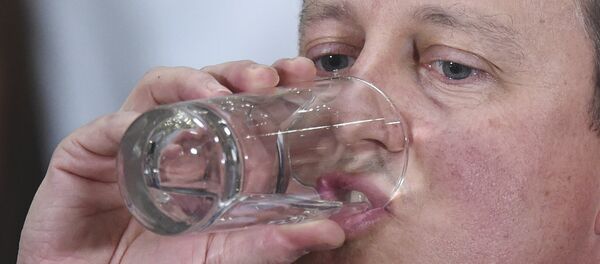 İngiltere Başbakanı David Cameron - Sputnik Türkiye