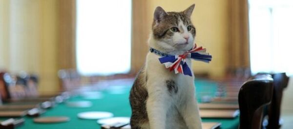 Palmerston - Sputnik Türkiye