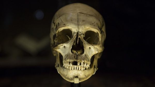 Londra'da Shakespeare sergisi - Sputnik Türkiye