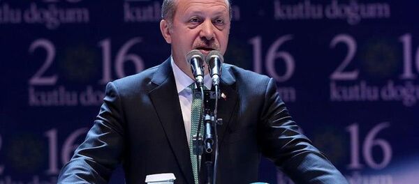 Cumhurbaşkanı Recep Tayyip Erdoğan - Sputnik Türkiye