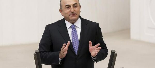Dışişleri Bakanı Mevlüt Çavuşoğlu - Sputnik Türkiye