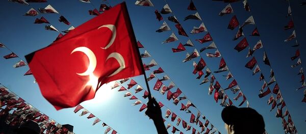 MHP - Sputnik Türkiye