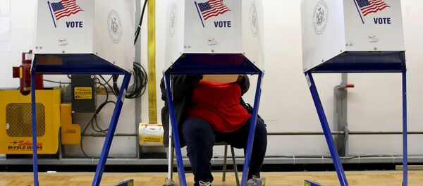ABD'deki seçim sandıkları. - Sputnik Türkiye