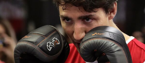 Kanada Başbakanı Justin Trudeau boks ringinde. Kanada Başbakanı Justin Trudeau boks ringinde. - Sputnik Türkiye