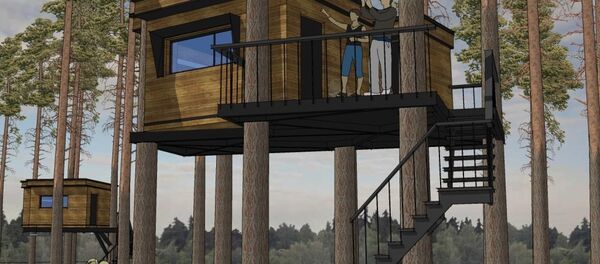 Rusya’da Nest Hotel projesi kapsamında, su ve ağaçlar üzerinde çevre dostu oteller yapılacak. - Sputnik Türkiye