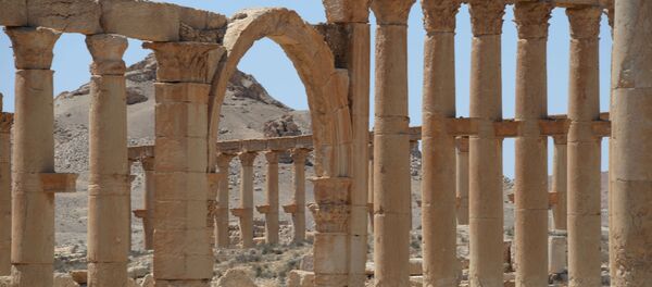 Antik Palmira’dan geriye kalanlar - Sputnik Türkiye