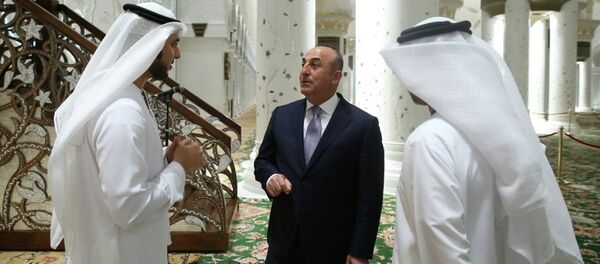 Türkiye Dışişleri Bakanı Mevlüt Çavuşoğlu Abu Dabi'de - Sputnik Türkiye