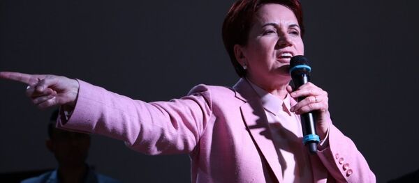 Meral Akşener Meral Akşener - Sputnik Türkiye