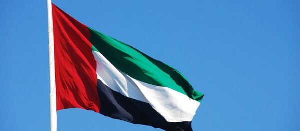 Birleşik Arap Emirlikleri (BAE) - Sputnik Türkiye