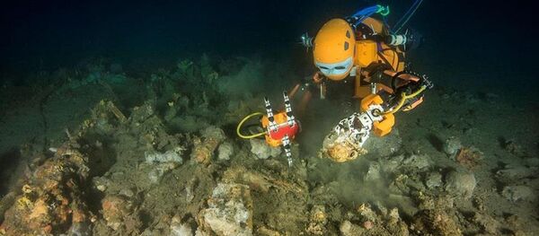 Yapay zekalı dalgıç robot - Sputnik Türkiye