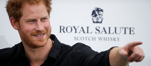 İngiltere Prensi Harry - Sputnik Türkiye