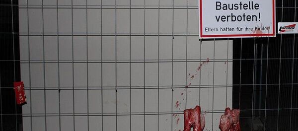 Avusturya'da camiye 'domuzlu' saldırı - Sputnik Türkiye