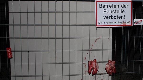 Avusturya'da camiye 'domuzlu' saldırı - Sputnik Türkiye