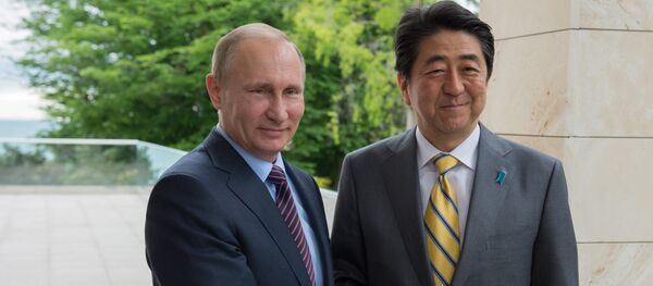 Rusya Devlet Başkanı Vladimir Putin ve Japonya Başbakanı Şinzo Abe - Sputnik Türkiye