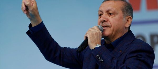 Cumhurbaşkanı Recep Tayyip Erdoğan - Sputnik Türkiye