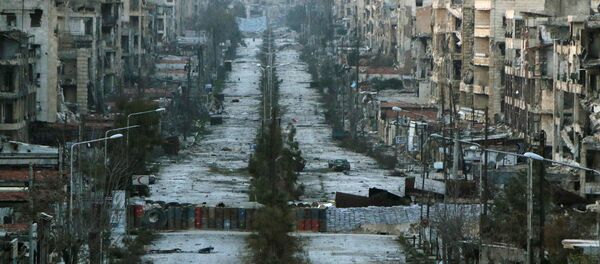 Halep. - Sputnik Türkiye