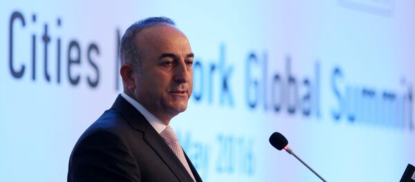 Mevlüt Çavuşoğlu - Sputnik Türkiye