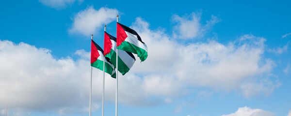 Filistin bayrağı - Sputnik Türkiye