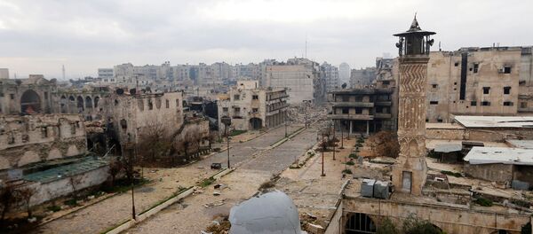 Halep. - Sputnik Türkiye