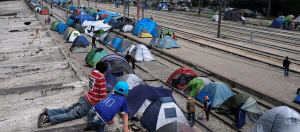 Sığınmacı - Sputnik Türkiye