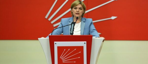 CHP Genel Başkan Yardımcısı ve Parti Sözcüsü Selin Sayek Böke basın açıklaması yaptı. - Sputnik Türkiye