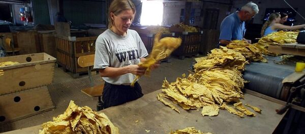 tütün fabrikası - Sputnik Türkiye
