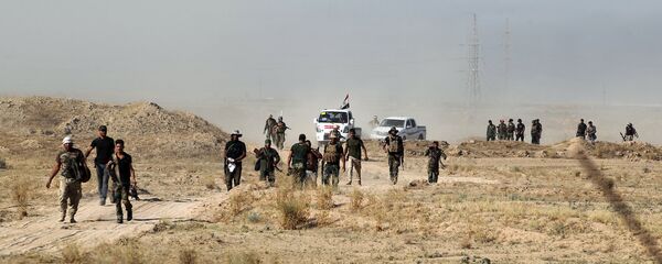 Irak'ta ordu ve hükümet yanlısı güçler Felluce'yi IŞİD'den geri almak için ilerliyor. - Sputnik Türkiye