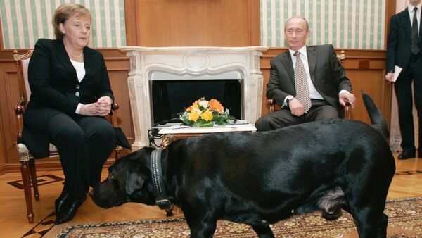 Almanya Başbakanı Angela Merkel ve Rusya Devlet Başkanı Vladimir Putin - Sputnik Türkiye