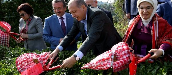Cumhurbaşkanı Recep Tayyip Erdoğan, eşi Emine Erdoğan ile Rize'deki Ziraat Çay Bahçesi'ni ziyaret ederek çay hasadı yaptı. - Sputnik Türkiye