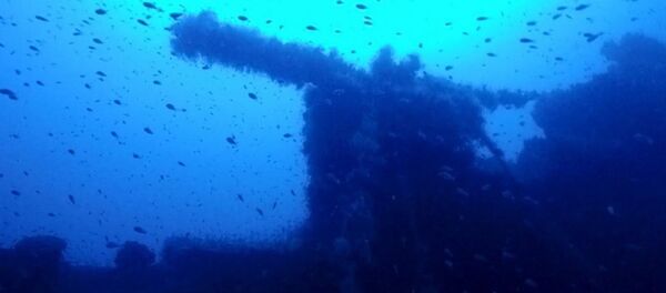 2. Dünya Savaşı sırasında batan İngiliz denizaltısı HMS P311. - Sputnik Türkiye